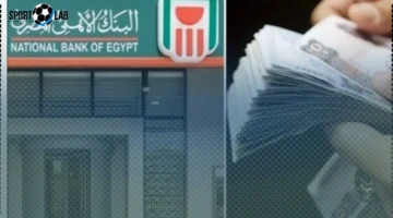 شهادة الـ 17% في البنك الأهلي تتصدر عروض الفائدة لمواجهة التضخم